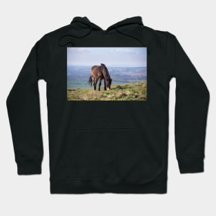 Traprain Grazing Hoodie